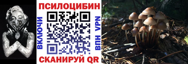 Псилоцибиновые грибы Psilocybine cubensis Медногорск